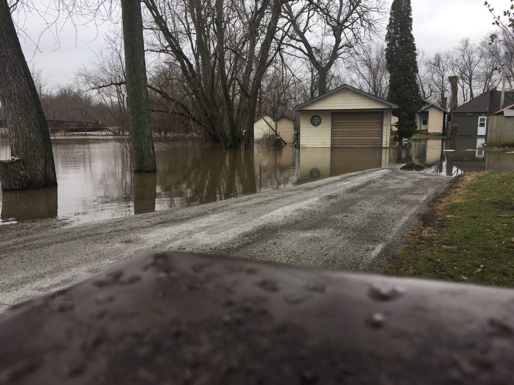 Flood